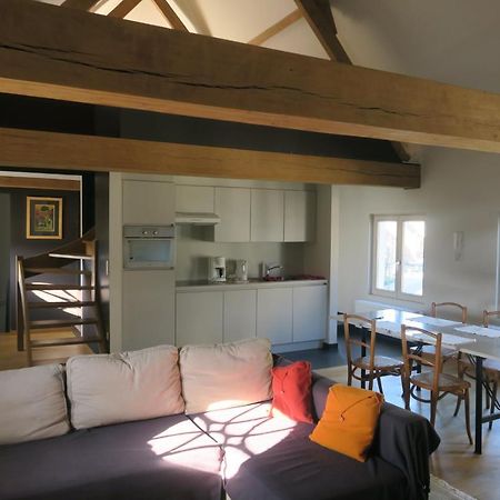 B&B / Studio De Druivelaar In Hartje Kluisbergen Extérieur photo